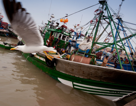 Maroc