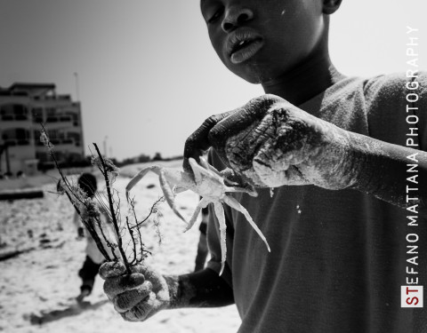SENEGAL