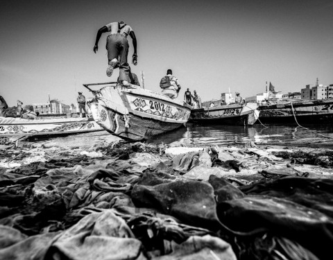 SENEGAL
