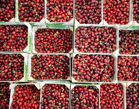 Mercato Ortofrutta