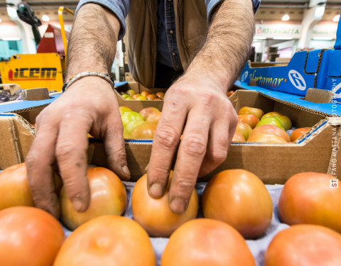 Mercato Ortofrutta