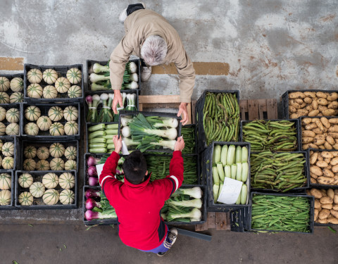 Mercato Ortofrutta